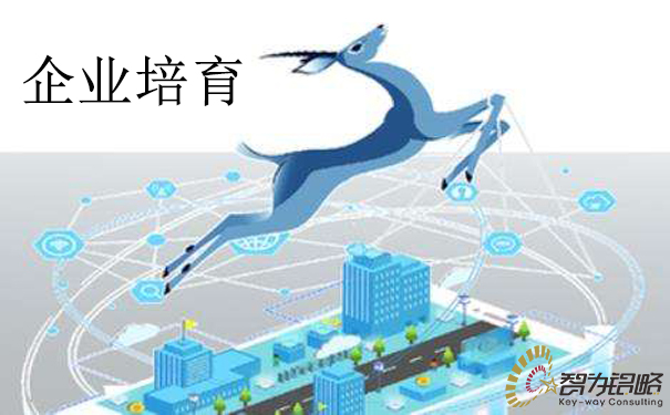 蘇州市科創(chuàng)板上市后備企業(yè)培育計劃