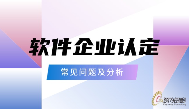 軟件企業(yè)認定的常見問題及分析.jpg