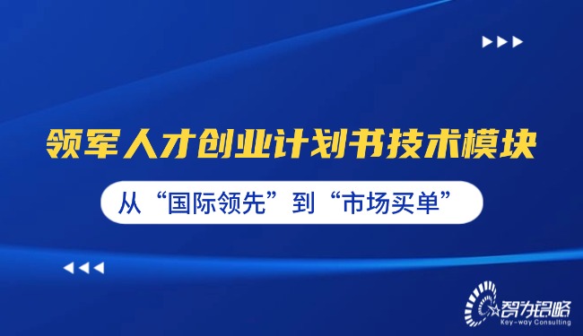 1765157033183542.jpg 領軍人才創(chuàng)業(yè)計劃書技術模塊—從“國際**”到“市場買單”.jpg